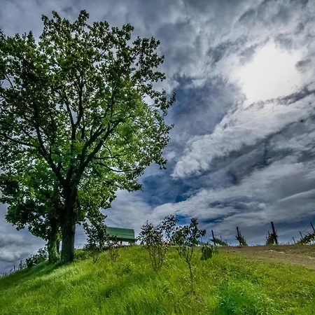 Small House Monferrato Daire *
